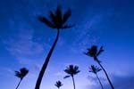 fla_07